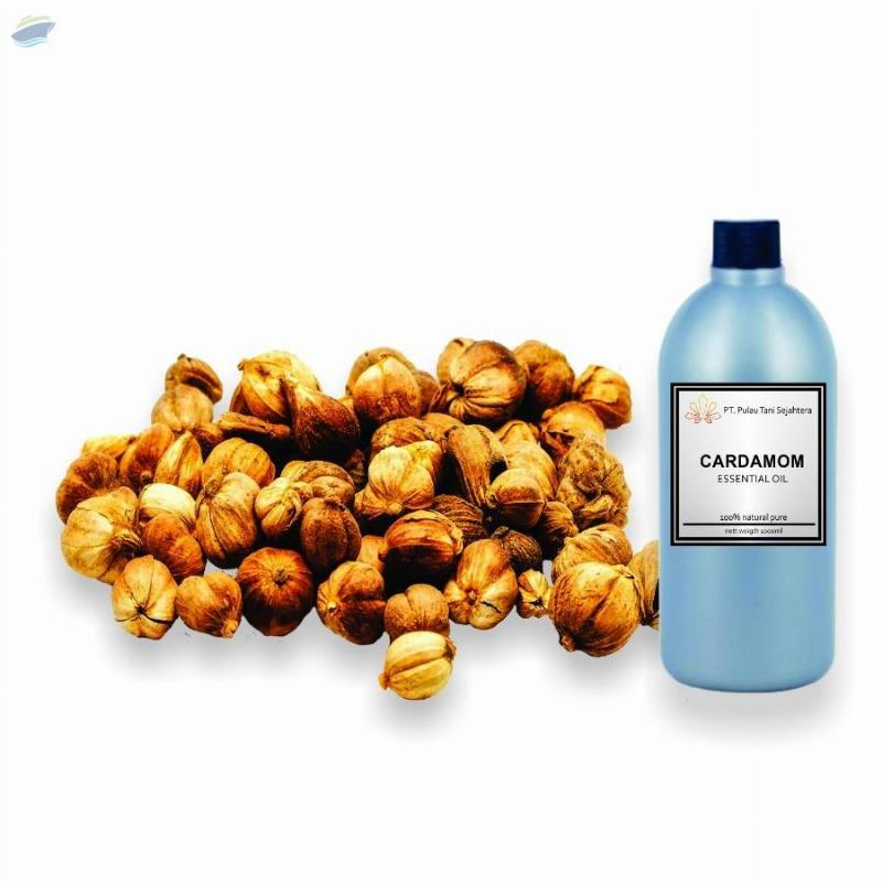 resources of Cardamom Essential Oil exporters