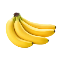 resources of Fresh Cavendish Banana exporters