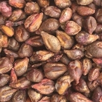 Grapes Seeds Exporters, Wholesaler & Manufacturer | Globaltradeplaza.com