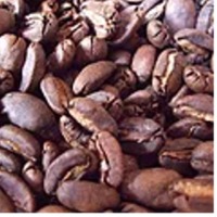 resources of Roasted Beans exporters