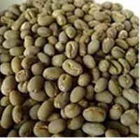 Green Beans Exporters, Wholesaler & Manufacturer | Globaltradeplaza.com