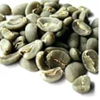 resources of Green Beans exporters
