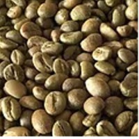 Green Beans Exporters, Wholesaler & Manufacturer | Globaltradeplaza.com