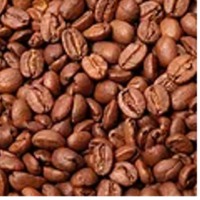 Roasted Beans Exporters, Wholesaler & Manufacturer | Globaltradeplaza.com