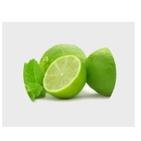 Fresh Lime Exporters, Wholesaler & Manufacturer | Globaltradeplaza.com