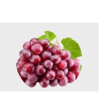 Red Globe Grapes Exporters, Wholesaler & Manufacturer | Globaltradeplaza.com
