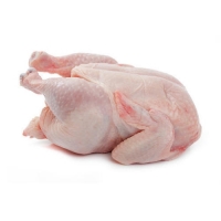 High Quality Halal Frozen Whole Chicken Exporters, Wholesaler & Manufacturer | Globaltradeplaza.com