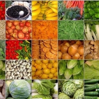 Fresh Vegetables Exporters, Wholesaler & Manufacturer | Globaltradeplaza.com