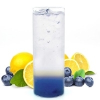 resources of Blueberry Lemon Ade exporters