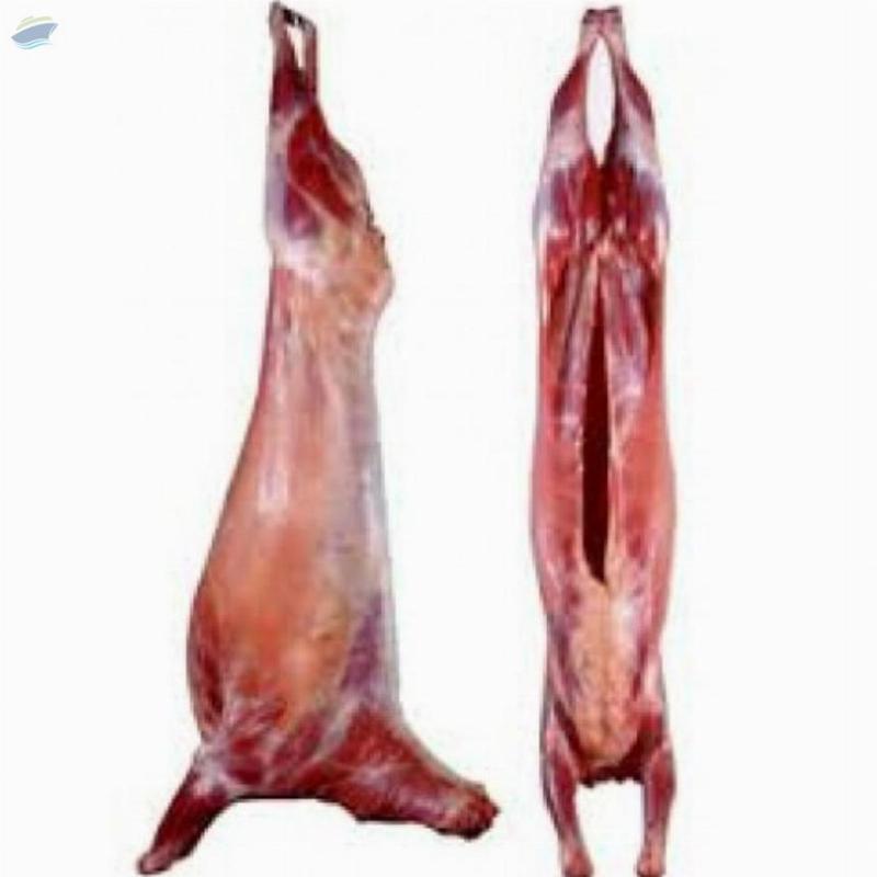 Fresh Halal Goat Meat Exporters, Wholesaler & Manufacturer | Globaltradeplaza.com
