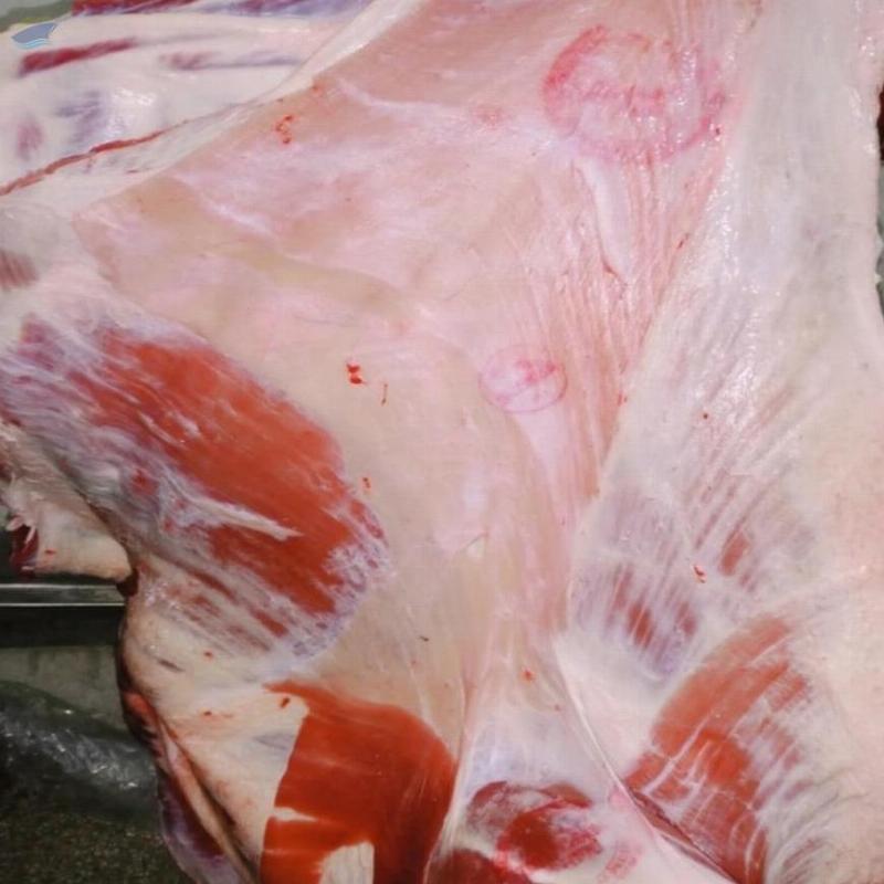 resources of Halal Frozen Beef Meat exporters