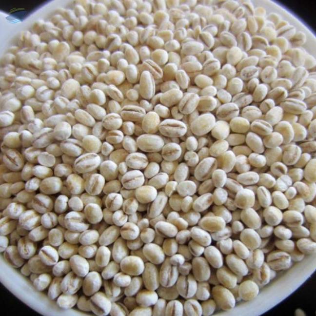 resources of Pearl Barley exporters