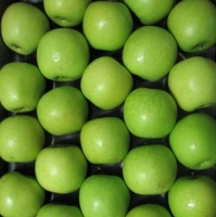 resources of Golden Delicious Apples exporters