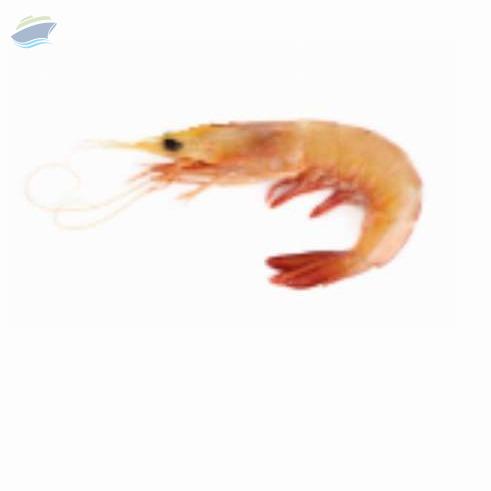 resources of Banana Shrimp exporters