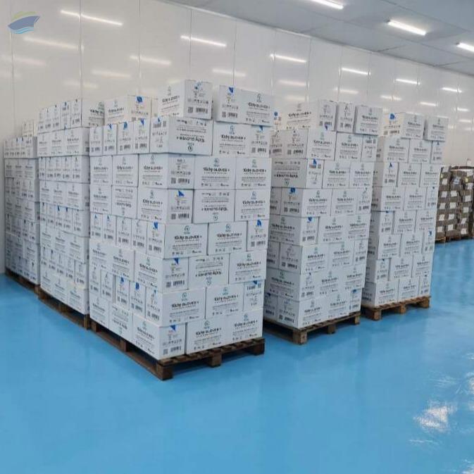 Kichy Nitrile Gloves Vietnam exporter and supplier from United Kingdom