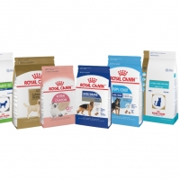 resources of Wholesale Royal Canin Pet Food exporters