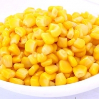 resources of Canned Corn exporters