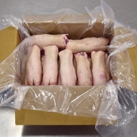 resources of Frozen Pork Feet exporters