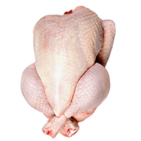 resources of Frozen Whole Chicken (Griller) exporters