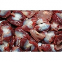 resources of Frozen Halal Chicken Gizzards For Sale exporters