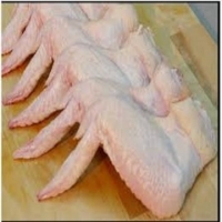 resources of Frozen Chicken Wings For Sale exporters