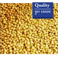 Amaranth Seeds Exporters, Wholesaler & Manufacturer | Globaltradeplaza.com