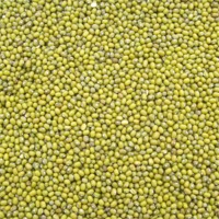 Mung Beans Exporters, Wholesaler & Manufacturer | Globaltradeplaza.com