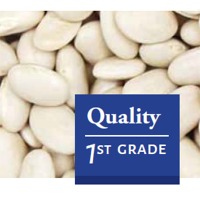 Great Northern Beans Exporters, Wholesaler & Manufacturer | Globaltradeplaza.com