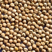 resources of Chickpeas exporters