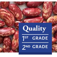 Red Speckled Kidney Beans Exporters, Wholesaler & Manufacturer | Globaltradeplaza.com
