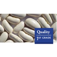 resources of White Kidney Beans exporters