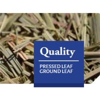 Lemongrass Leaf Exporters, Wholesaler & Manufacturer | Globaltradeplaza.com