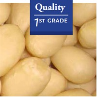 Blanched Peanuts Exporters, Wholesaler & Manufacturer | Globaltradeplaza.com