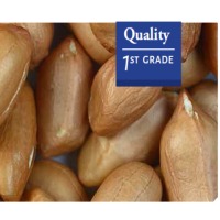 Raw Peanuts Exporters, Wholesaler & Manufacturer | Globaltradeplaza.com