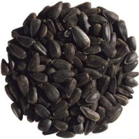 Black Sunflower Seed Exporters, Wholesaler & Manufacturer | Globaltradeplaza.com