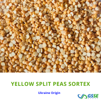 Yellow Split Peas Sortex Exporters, Wholesaler & Manufacturer | Globaltradeplaza.com