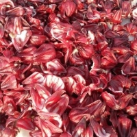 Dried Hibiscus Flower Exporters, Wholesaler & Manufacturer | Globaltradeplaza.com