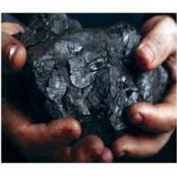 Coal Exporters, Wholesaler & Manufacturer | Globaltradeplaza.com