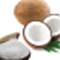 Coconut Powder Exporters, Wholesaler & Manufacturer | Globaltradeplaza.com