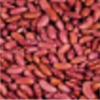 Light Red Kidney Bean Exporters, Wholesaler & Manufacturer | Globaltradeplaza.com