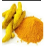 resources of Turmeric Finger exporters