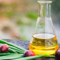 Refined Palm Oil Exporters, Wholesaler & Manufacturer | Globaltradeplaza.com