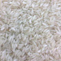 Rice 5% Broken Exporters, Wholesaler & Manufacturer | Globaltradeplaza.com