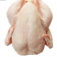 Whole Chicken Halal Exporters, Wholesaler & Manufacturer | Globaltradeplaza.com