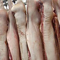 Frozen Pork Carcass Exporters, Wholesaler & Manufacturer | Globaltradeplaza.com