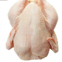 Frozen Chicken Whole Exporters, Wholesaler & Manufacturer | Globaltradeplaza.com