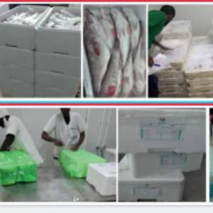 resources of Frozen Tilapia exporters