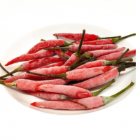 Frozen Chili Exporters, Wholesaler & Manufacturer | Globaltradeplaza.com