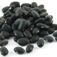 resources of Quality Black Beans exporters