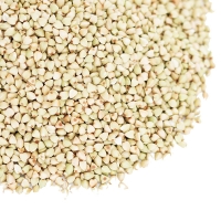 resources of Bulk Buckwheat exporters